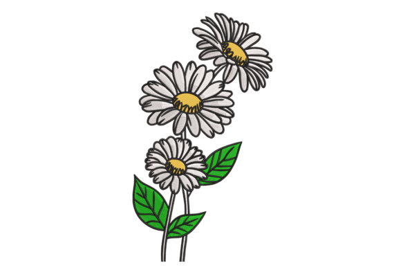 Download Sketch Daisy Trio – Modern Botanical - Premium Resources