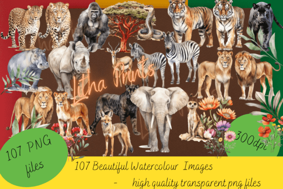 Download Africa Alive - Africa Collection